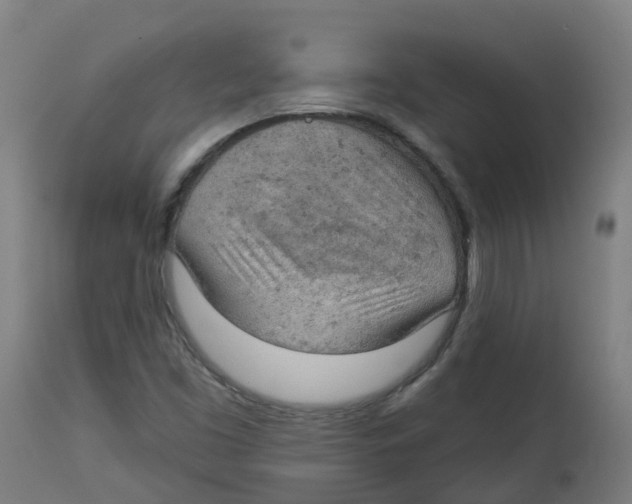 X0000112781453200909171326