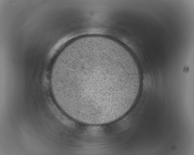 X0000112781454200909171326