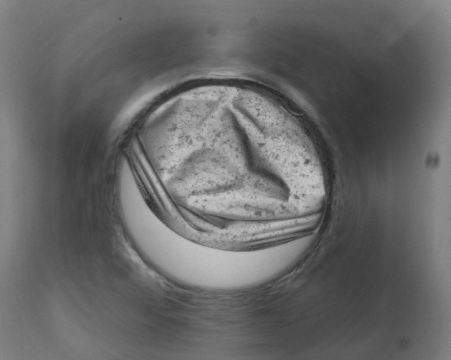 X0000112781456200909171326