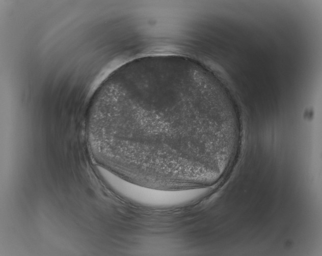 X0000112781457200909171326