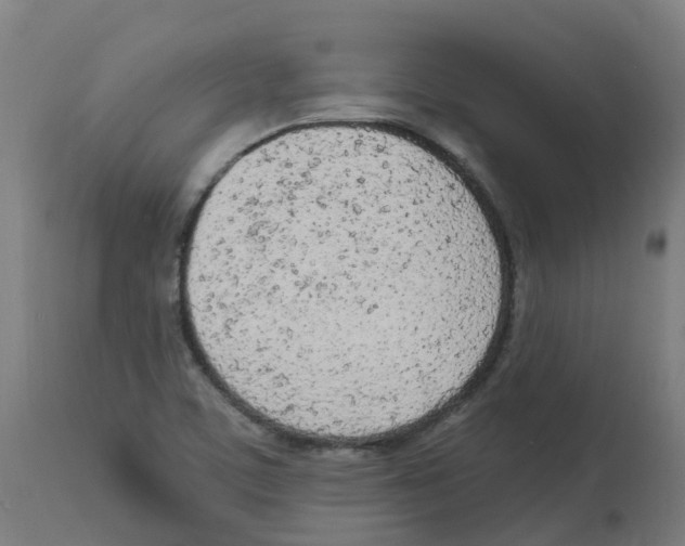 X0000112781459200909171326