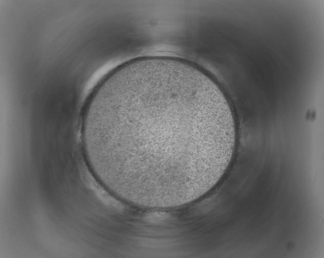 X0000112781462200909171326