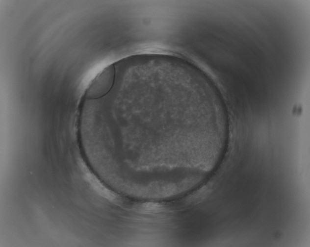 X0000112781463200909171326