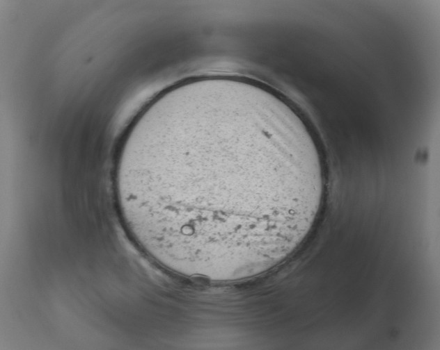 X0000112781464200909171326