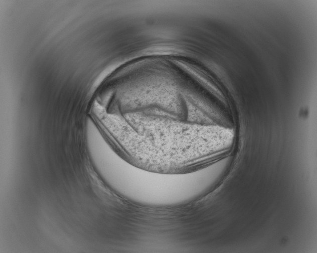 X0000112781465200909171326