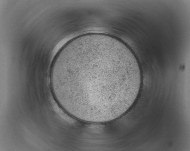 X0000112781466200909171326