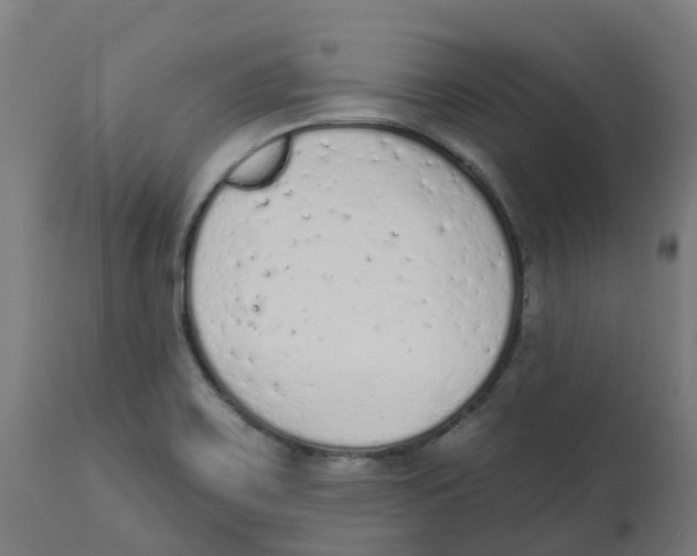 X0000112781467200909171326