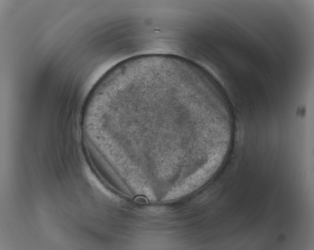 X0000112781468200909171326