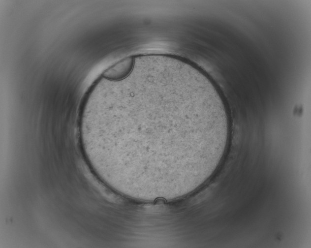 X0000112781469200909171325