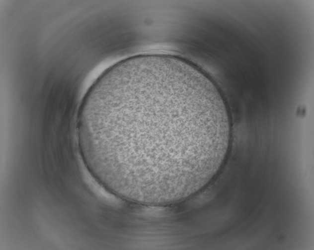 X0000112781470200909171325