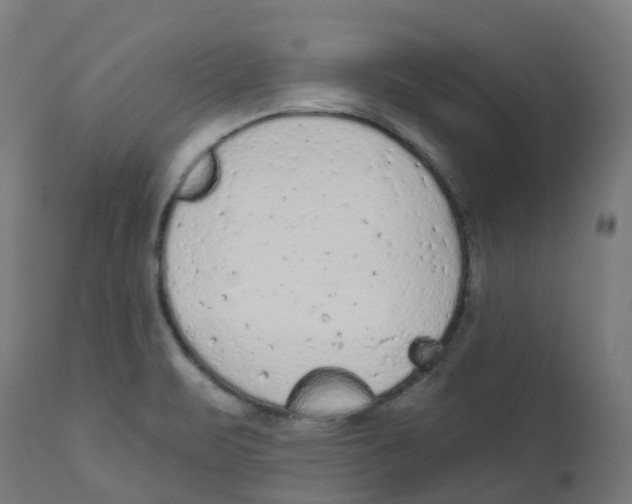 X0000112781471200909171325