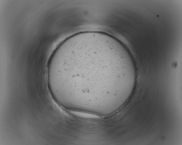 X0000112781472200909171325