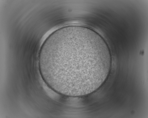 X0000112781474200909171325