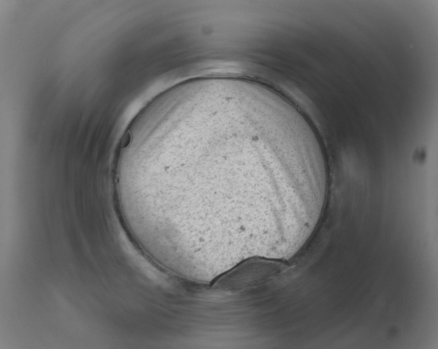 X0000112781475200909171325