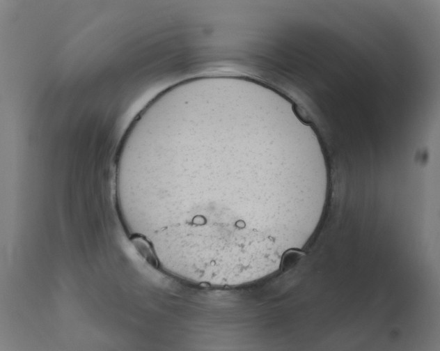 X0000112781476200909171325