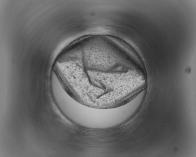 X0000112781477200909171325