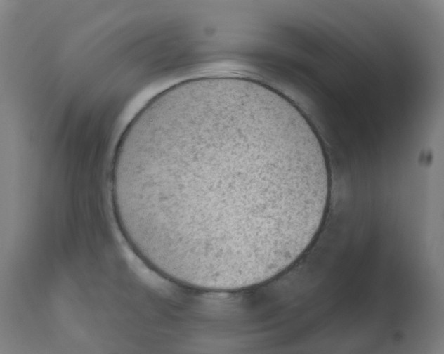 X0000112781478200909171325