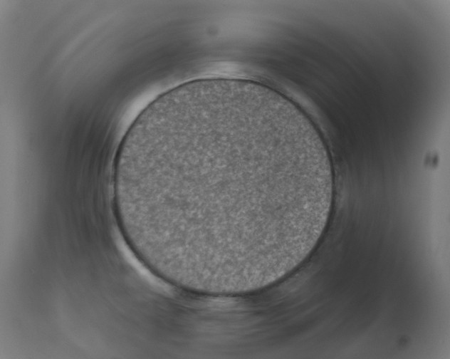 X0000112781479200909171325