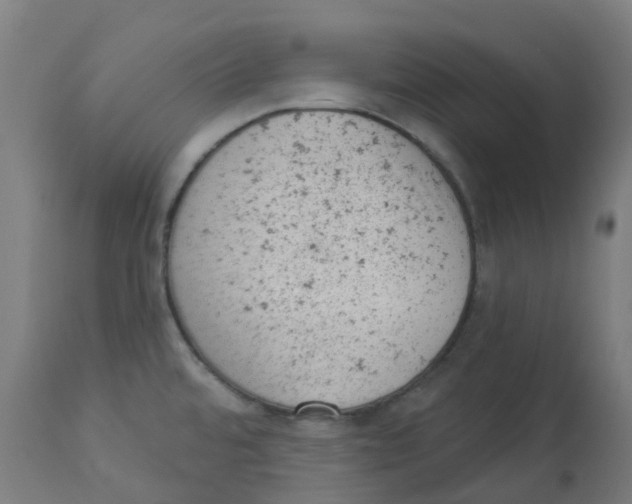 X0000112781480200909171325