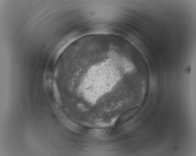 X0000112781481200909171325