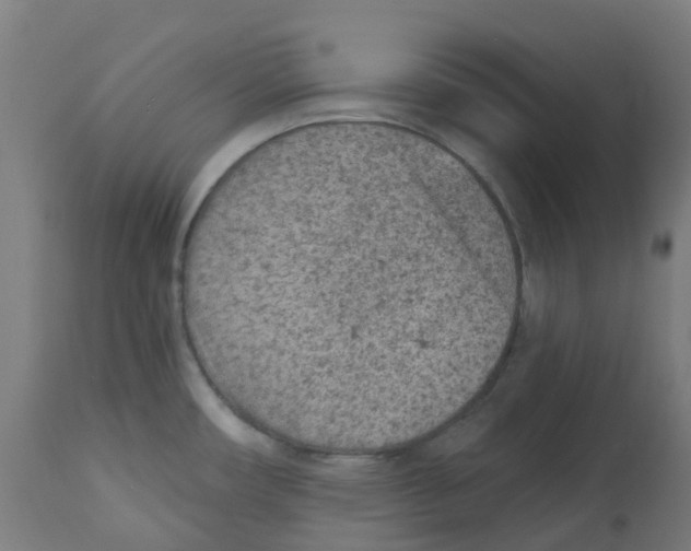 X0000112781482200909171325