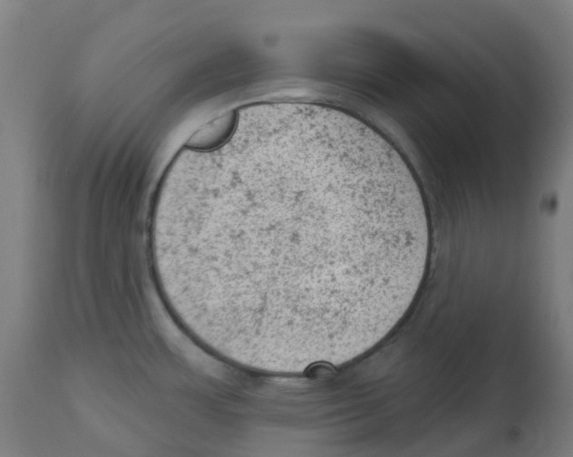 X0000112781483200909171325