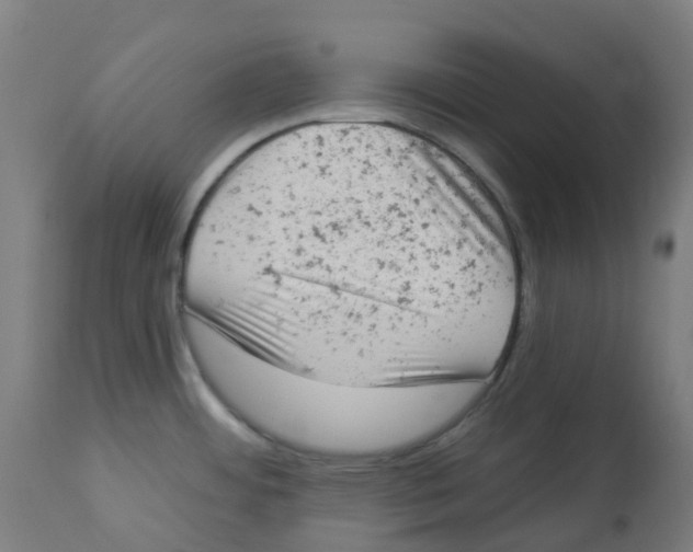 X0000112781484200909171325