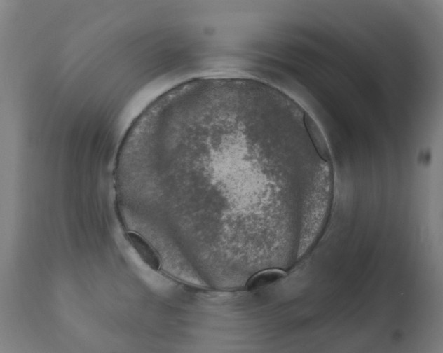 X0000112781485200909171325