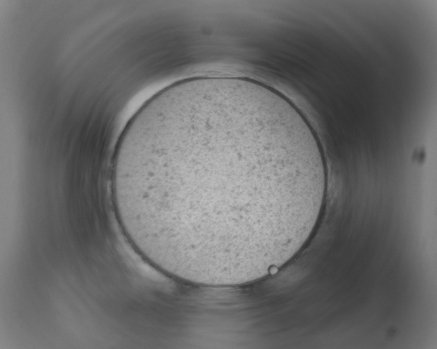 X0000112781486200909171325