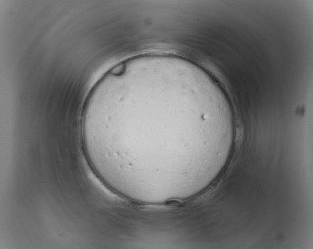 X0000112781487200909171325