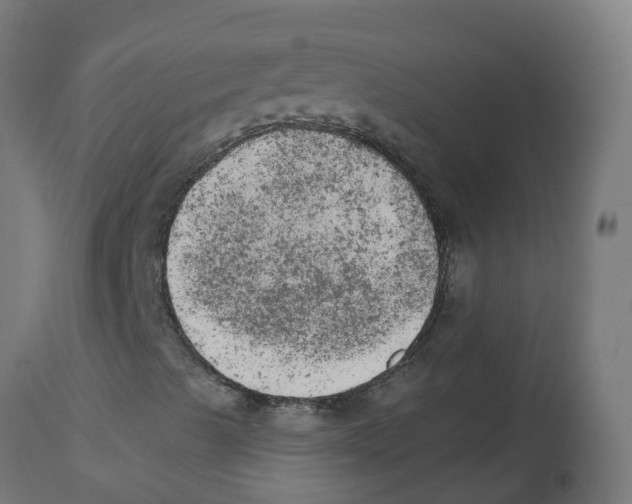 X0000112781489200909171325