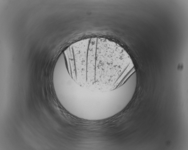 X0000112781492200909171325