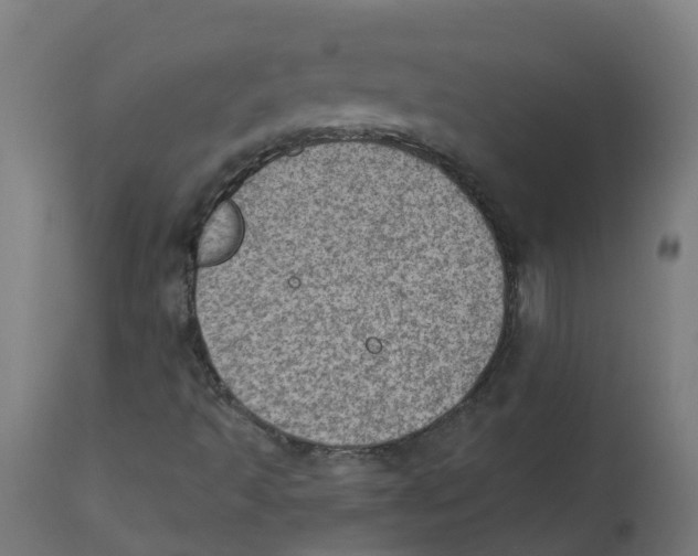 X0000112781493200909171325