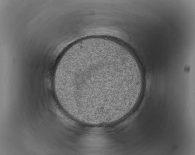 X0000112781497200909171325