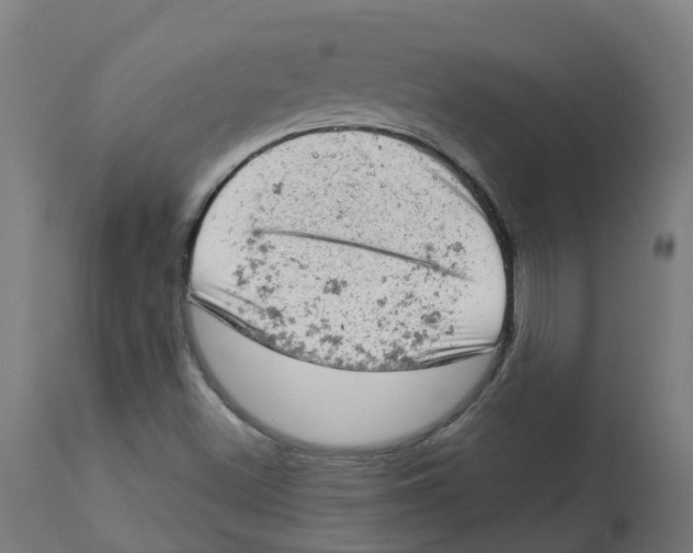 X0000112781500200909171325