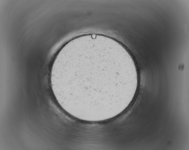 X0000112781502200909171325