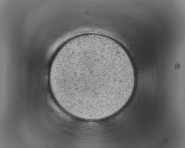 X0000112781503200909171325