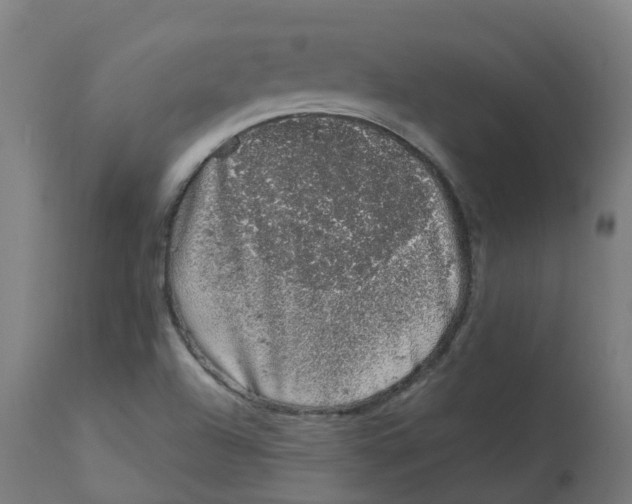 X0000112781504200909171325