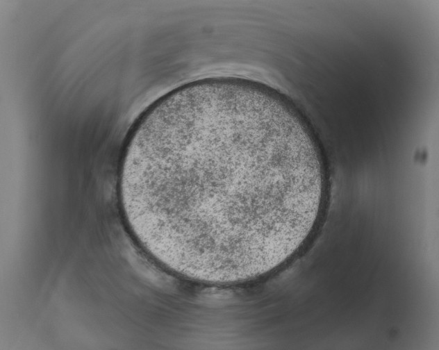 X0000112781505200909171325