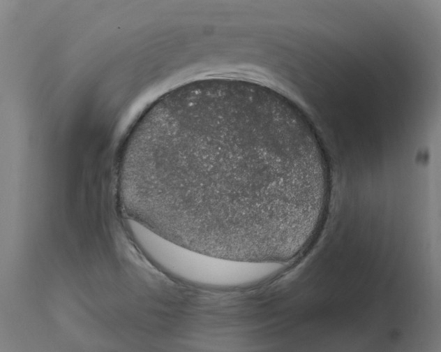 X0000112781506200909171325