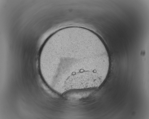 X0000112781511200909171325