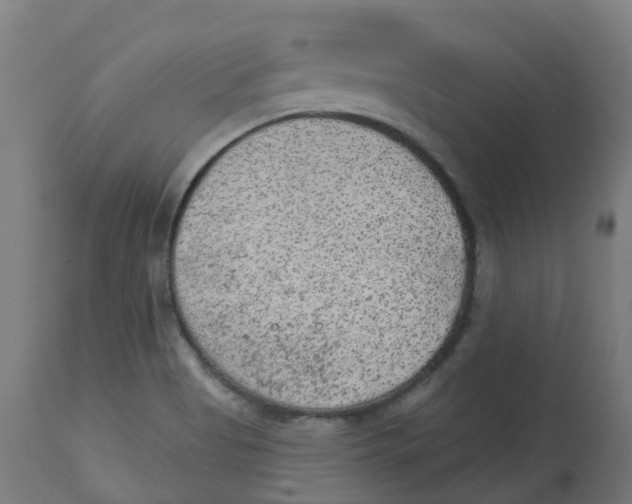 X0000112781513200909171325