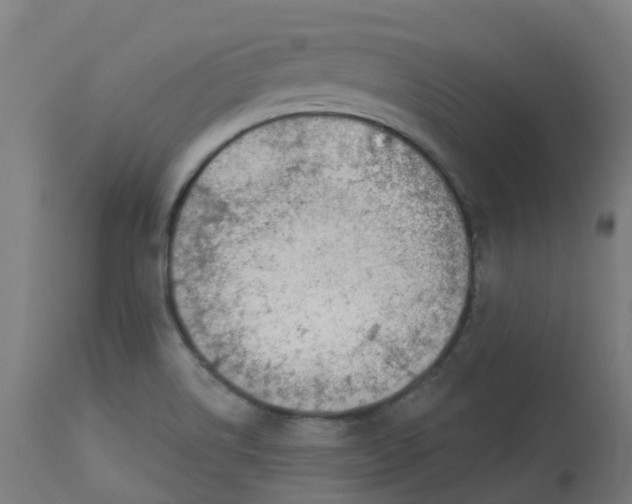 X0000112781514200909171325