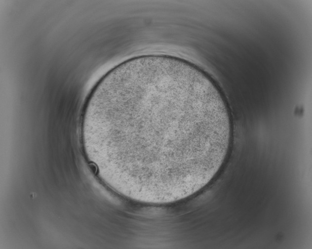 X0000112781517200909171325