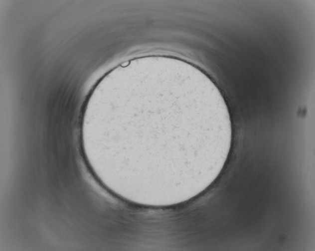 X0000112781518200909171325