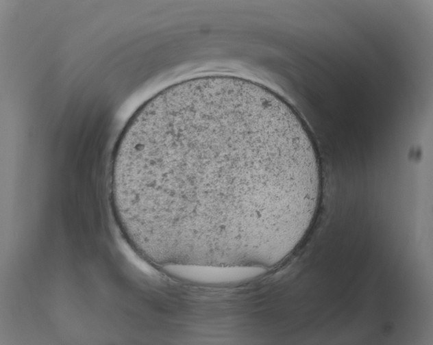 X0000112781519200909171325