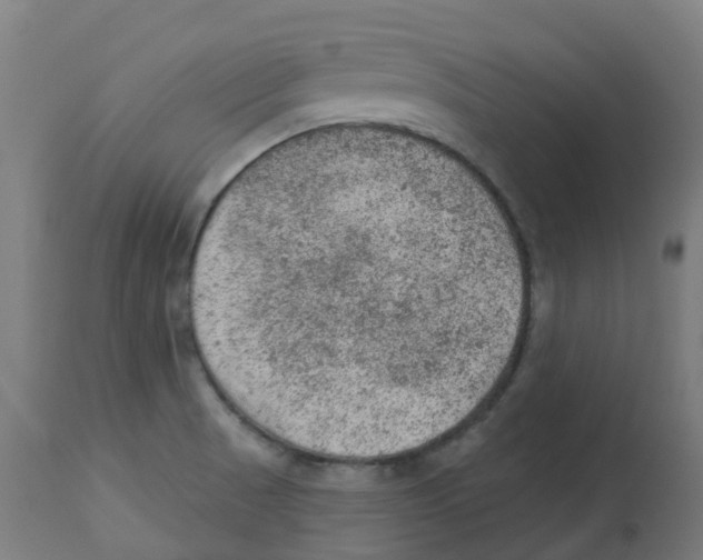 X0000112781521200909171325