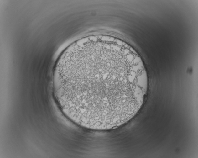 X0000112781522200909171325