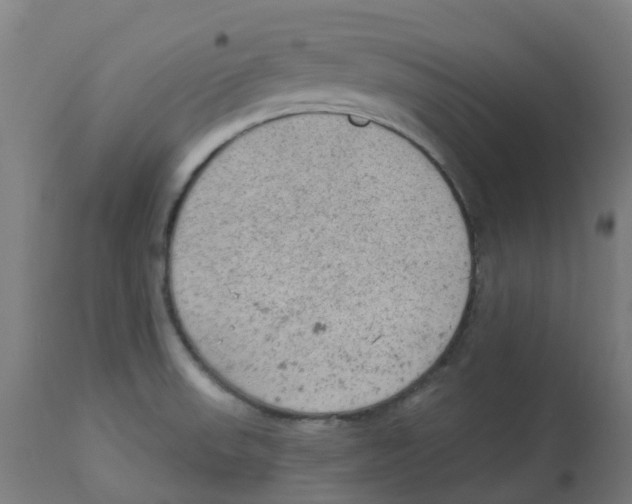 X0000112781523200909171325