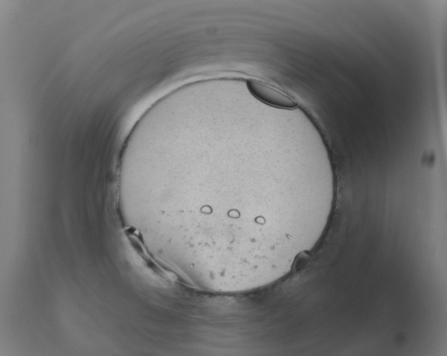 X0000112781524200909171325